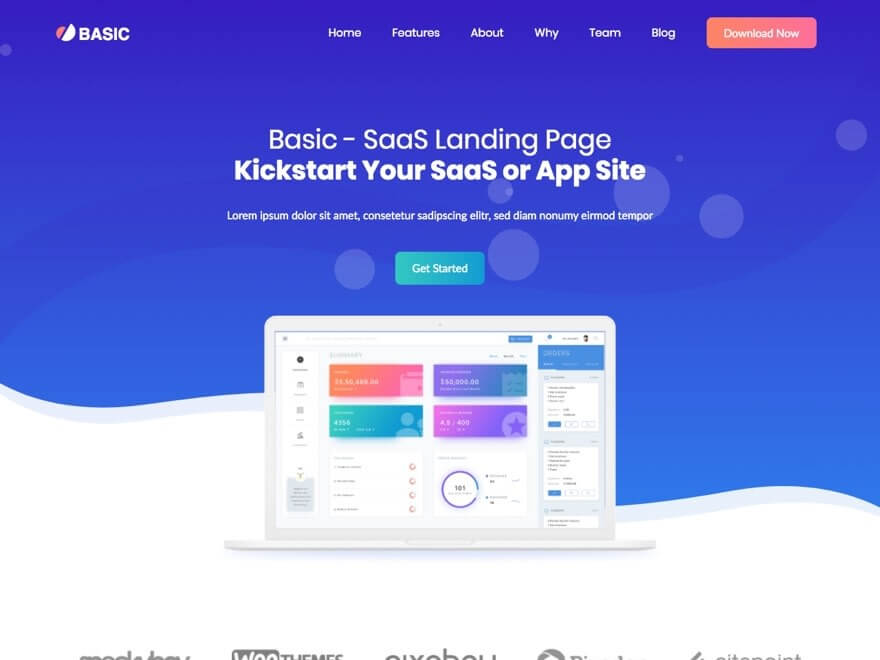 Basic Landing Template Theme