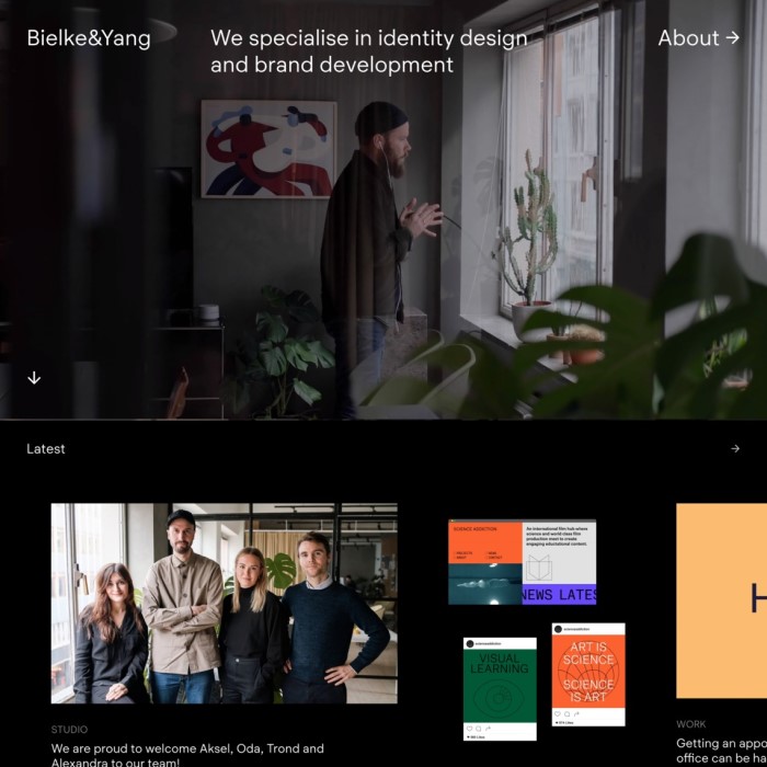 Bielke & Yang Landing Page