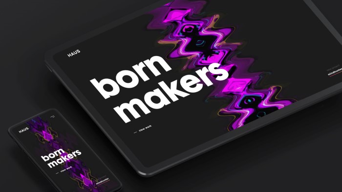 HAUS Landing Page